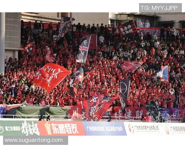 广州网球队实力引发热议球迷对选手表现和训练方式展开激烈讨论